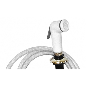 Douchette Noire support plastique avec collerette chromée tuyau plastique Longueur 2 m