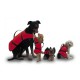 Animal vests